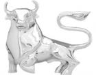 silver bull market